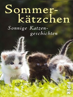 cover image of Sommerkätzchen